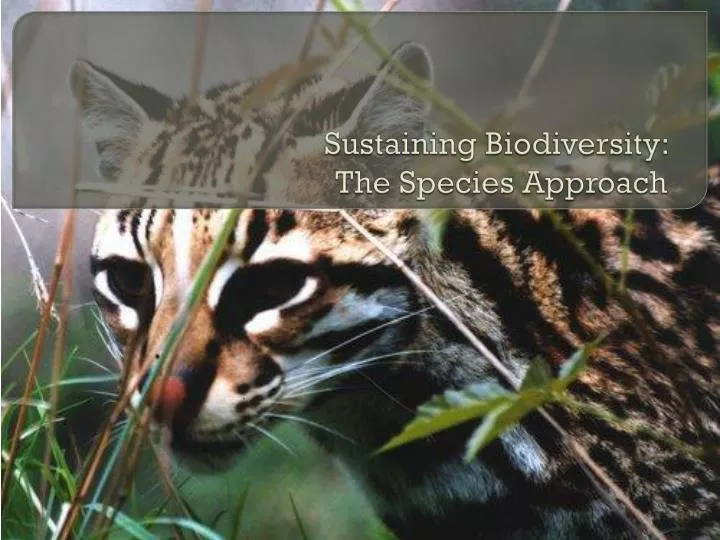 sustaining biodiversity the species approach