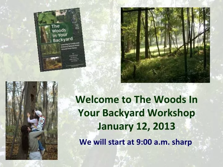 welcome to the woods in your backyard workshop january 12 2013