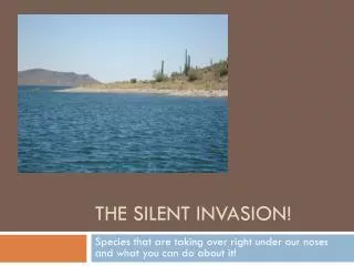 The Silent I nvasion!