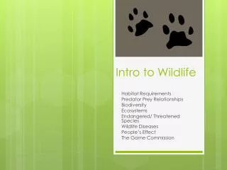 Intro to Wildlife