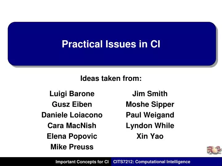 practical issues in ci