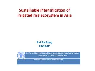 Sustainable intensification of irrigated rice ecosystem in Asia Bui Ba Bong FAORAP