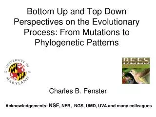 Bottom Up and Top Down Perspectives on the Evolutionary Process: From Mutations to Phylogenetic Patterns