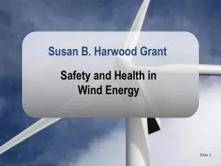 Safety and Health in Wind Energy