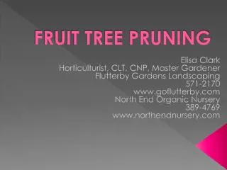 FRUIT TREE PRUNING