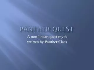 Panther Quest