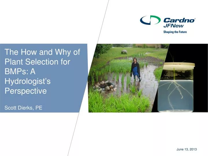 the how and why of plant selection for bmps a hydrologist s perspective scott dierks pe