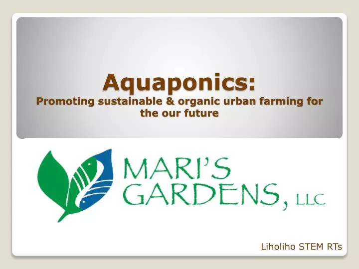 aquaponics promoting sustainable organic urban farming for the our future