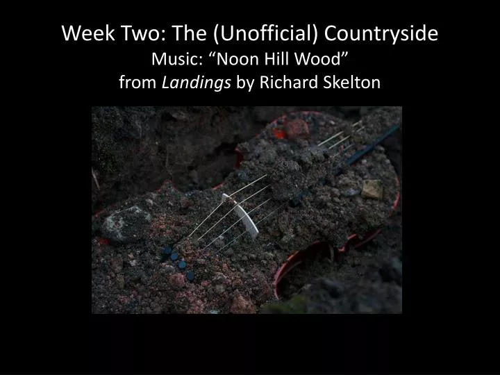 week two the unofficial countryside music noon hill wood from landings by richard skelton