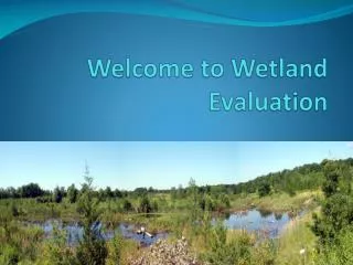 Welcome to Wetland Evaluation
