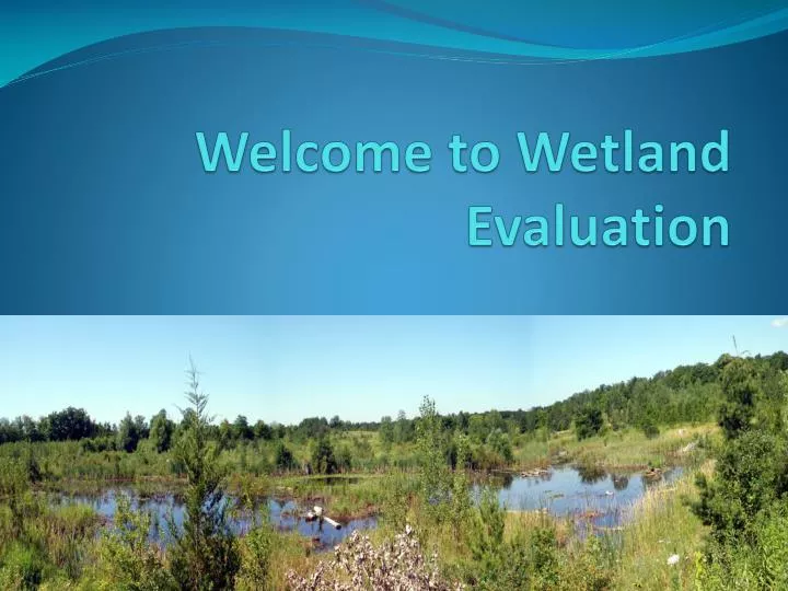 welcome to wetland evaluation