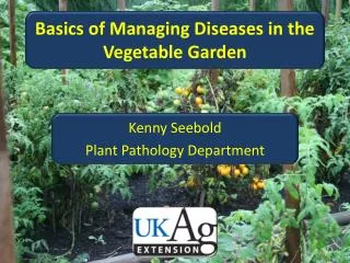 Basics of Managing Diseases in the Vegetable Garden