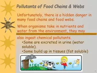 Pollutants of Food Chains &amp; Webs