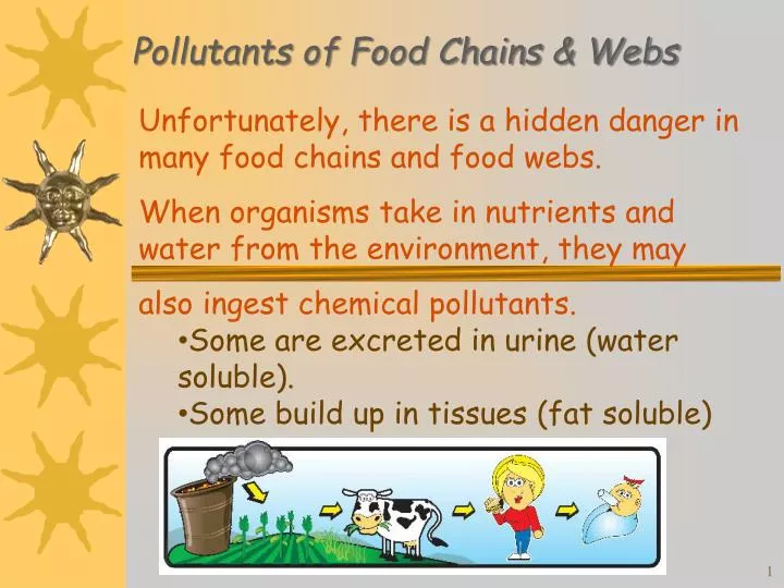 pollutants of food chains webs