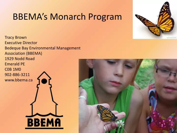 bbema s monarch program