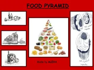 food pyramid