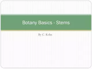 Botany Basics - Stems