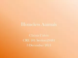 Homeless Animals