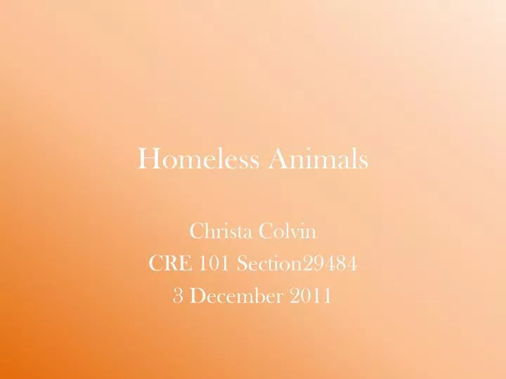 homeless animals