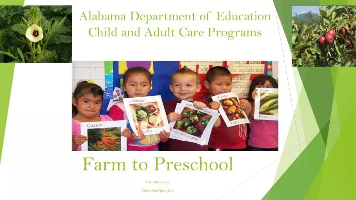 alabama department of education child and adult care programs