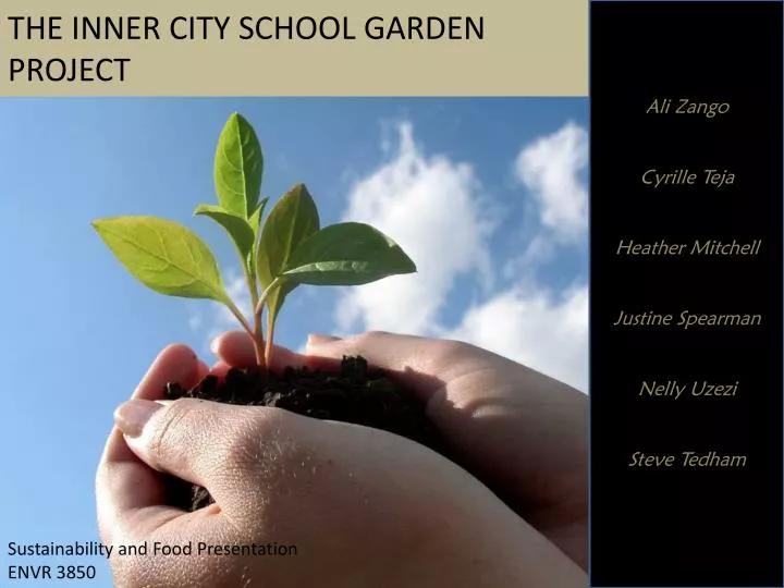 the inner city school garden project