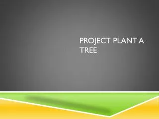 Project Plant a Tree