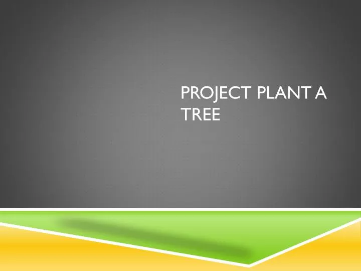 project plant a tree