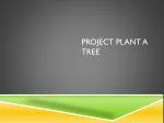 Planting Apple and Cherry Trees on the Roof: A Sustainable Initiative - slide 1