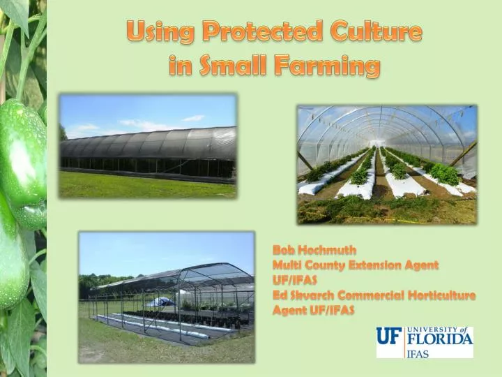 using protected culture in small farming
