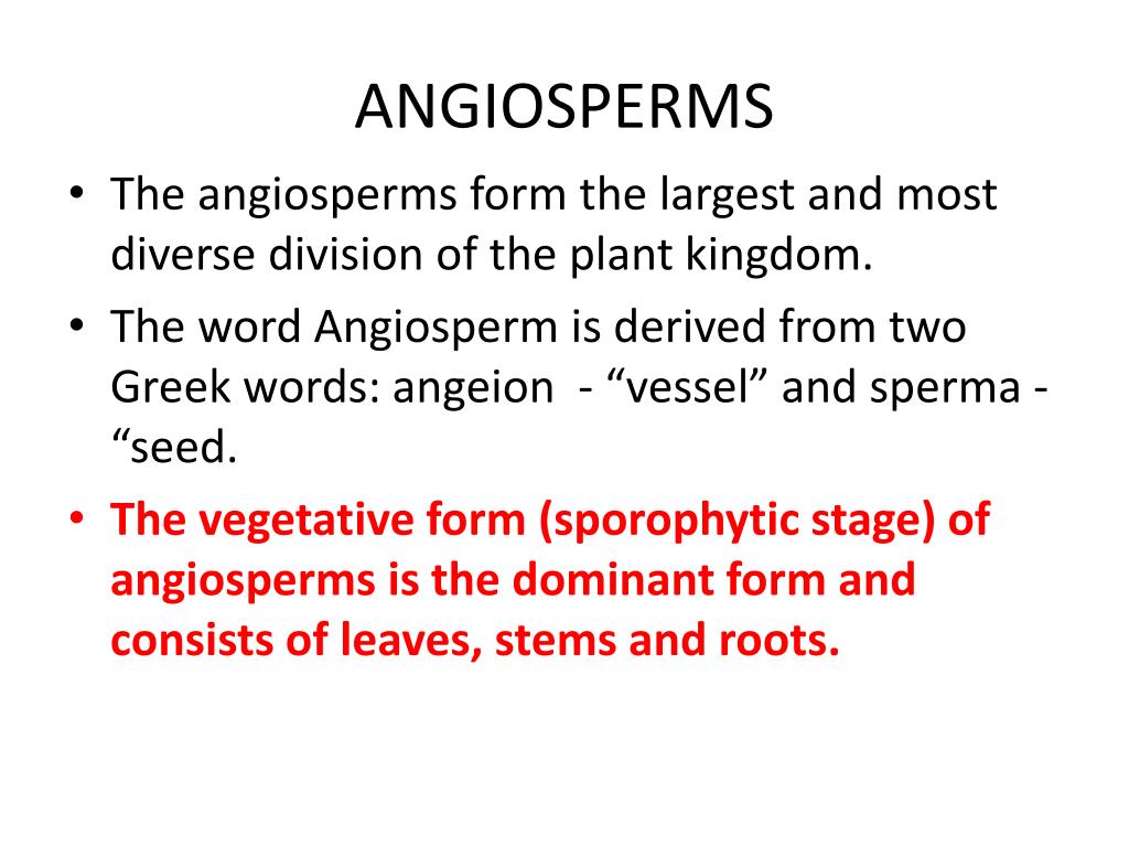 PPT - ANGIOSPERMS PowerPoint Presentation, free download - ID:1560286