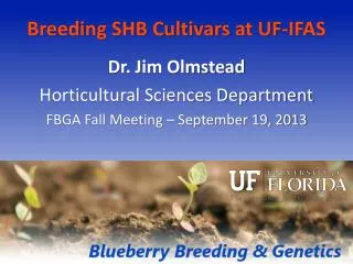 Breeding SHB Cultivars at UF-IFAS