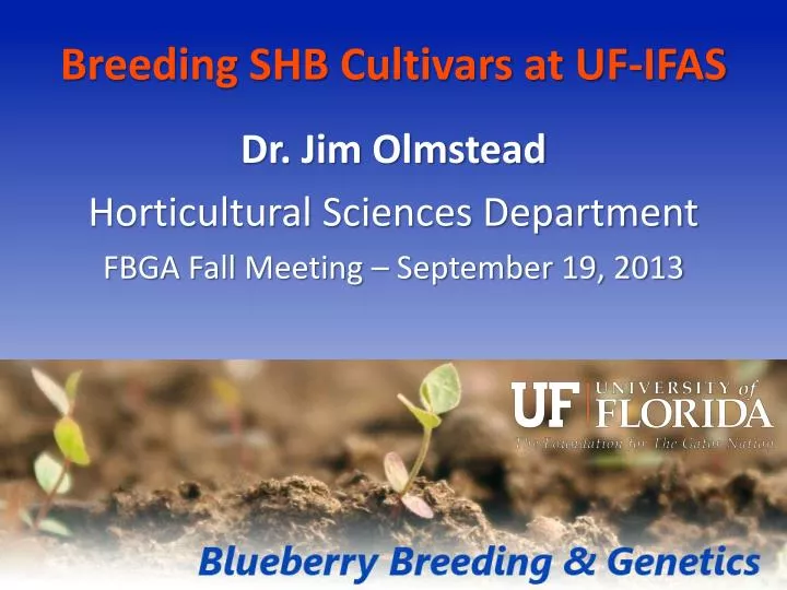 breeding shb cultivars at uf ifas