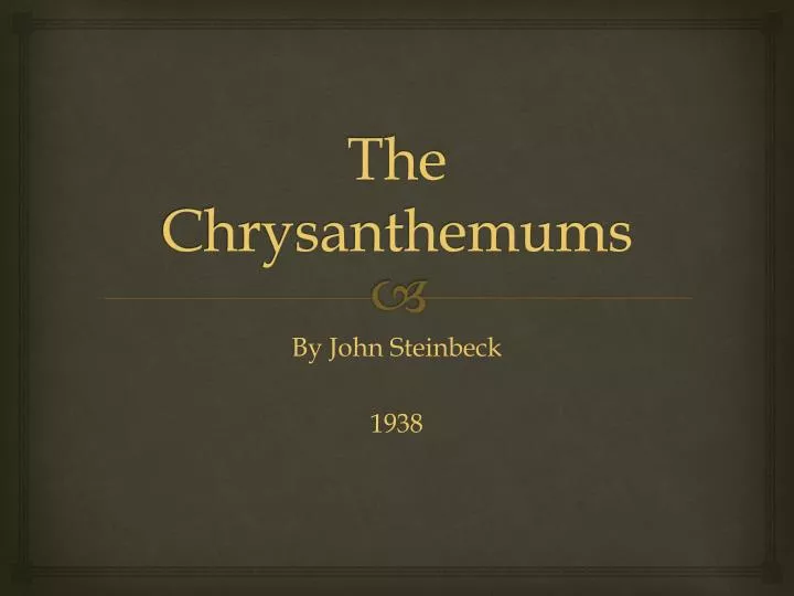 the chrysanthemums