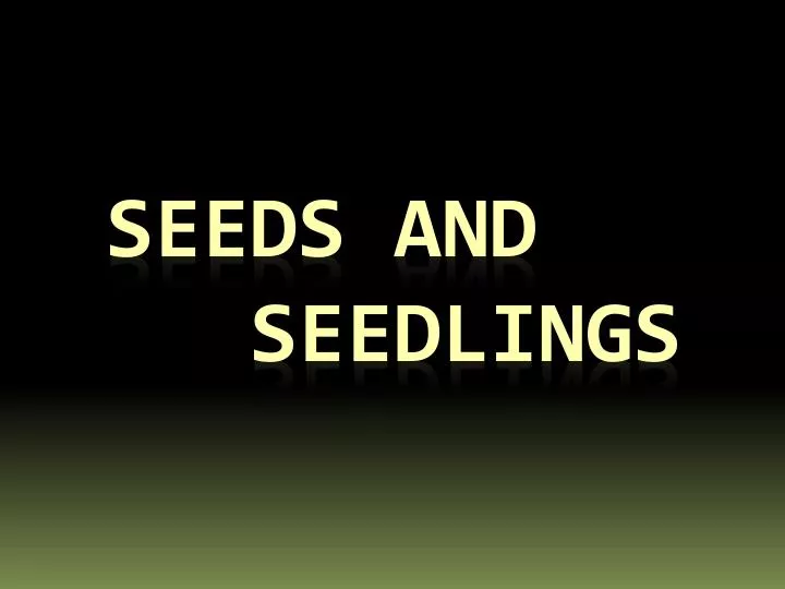 seeds and seedlings
