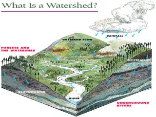 What is a watershed? It is the area of land and waterways that drain to a water body.