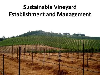 Sustainable Vineyard Establishment and Management