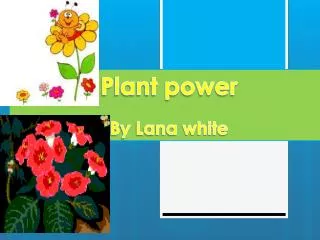 Plant power By Lana white