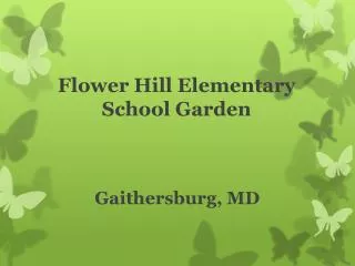 Flower Hill Elementary School Garden