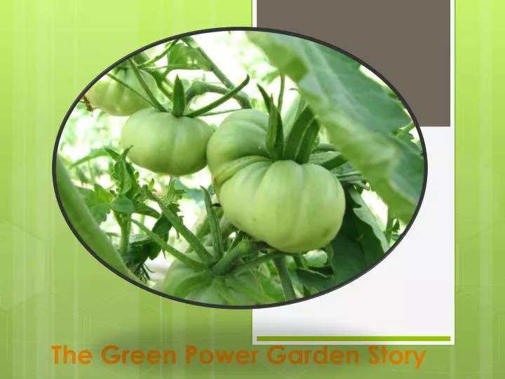 the green power garden story