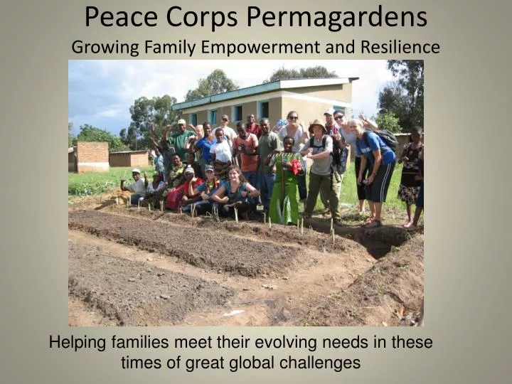 peace corps permagardens growing family empowerment and resilience