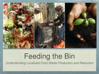 feeding the bin