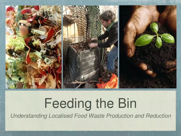 feeding the bin