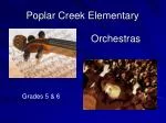 Poplar Creek Elementary - slide 1
