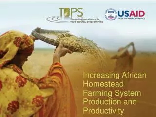 Increasing African Homestead Farming System Production and Productivity