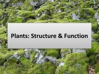 Plants: Structure &amp; Function