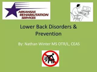 lower back disorders prevention