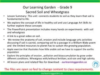 Our Learning Garden - Grade 9 Sacred Soil and Wheatgrass