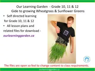 Our Learning Garden - Grade 10, 11 &amp; 12 Gide to growing Wheatgrass &amp; Sunflower Greens