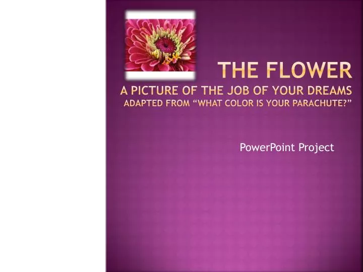 Flower Traits Slideshow