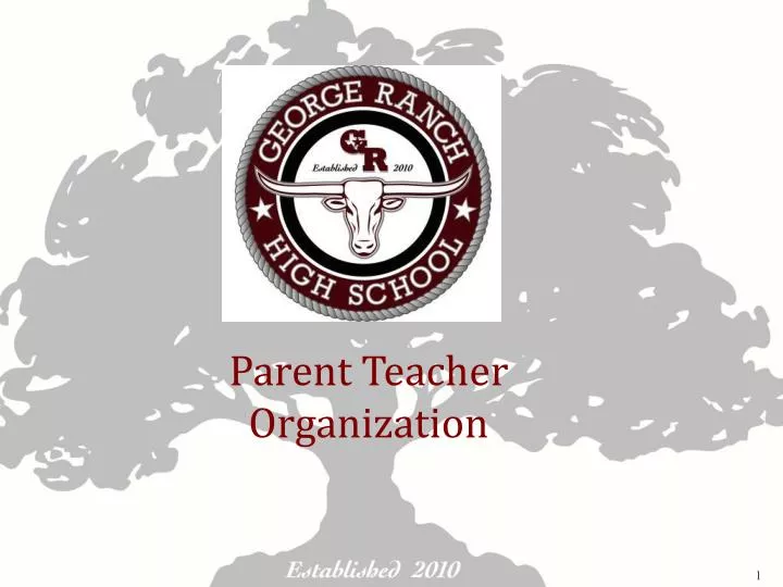 parent teacher organization